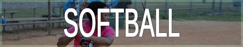 Houston Adult Softball League